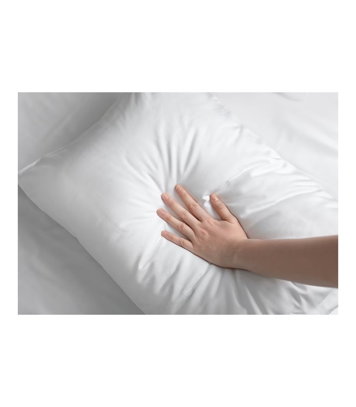 ALMOHADA SILICONADA