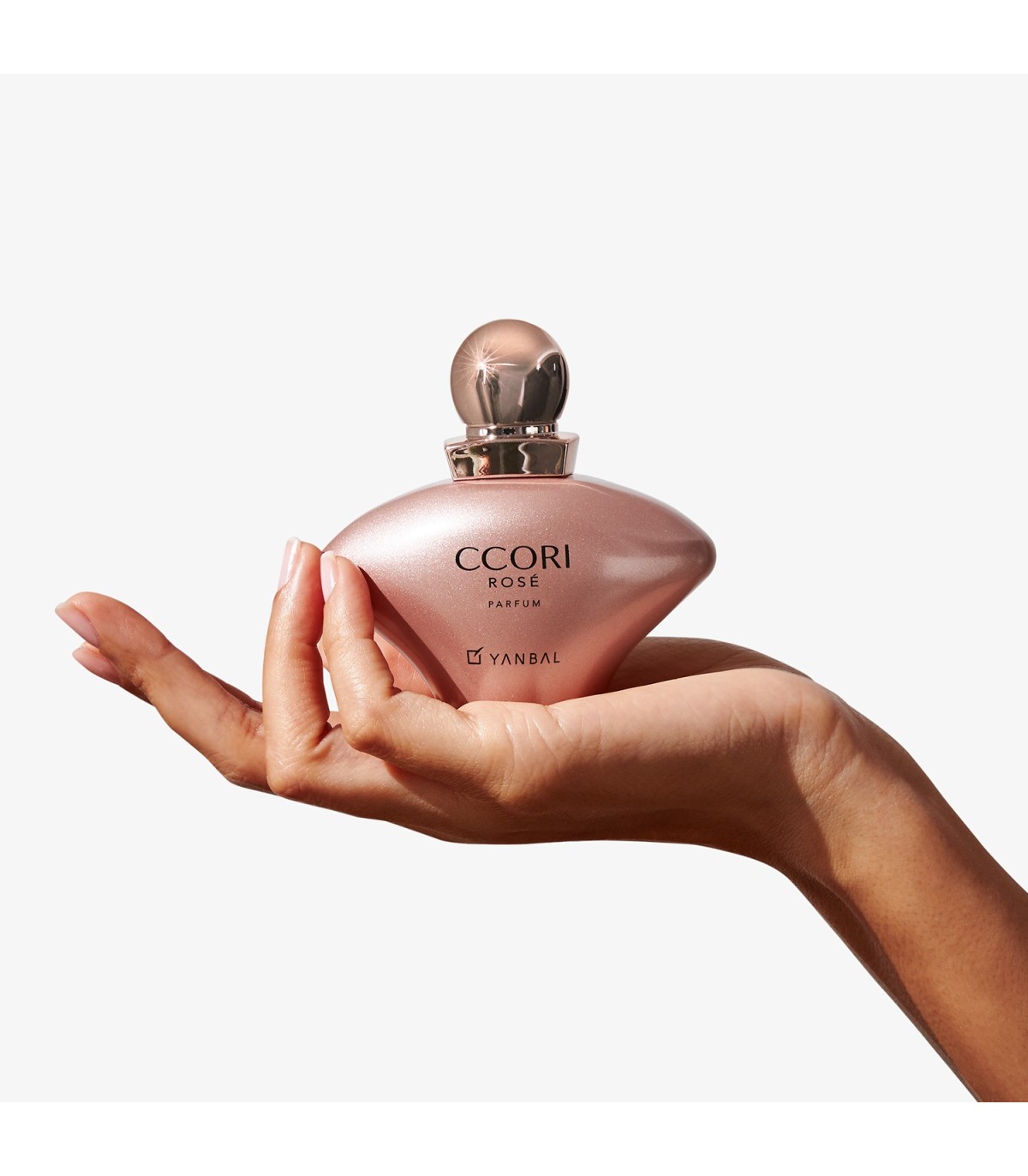 copia de copia de copia de copia de copia de copia de copia de copia de copia de copia de copia de copia de copia de Ohm Black P